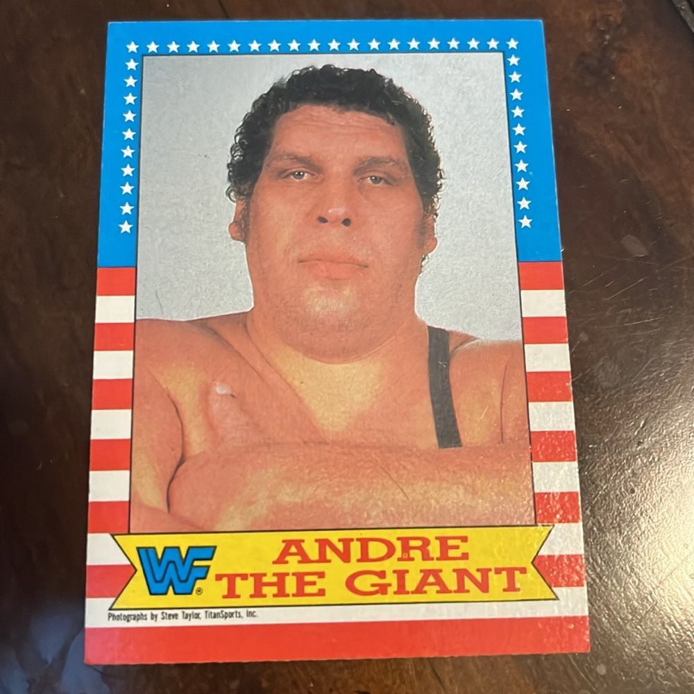 1987 WWF Wrestling Topps (10) cards Andre the Giant Hulk Hogan The Challenge - Picture 12 of 12